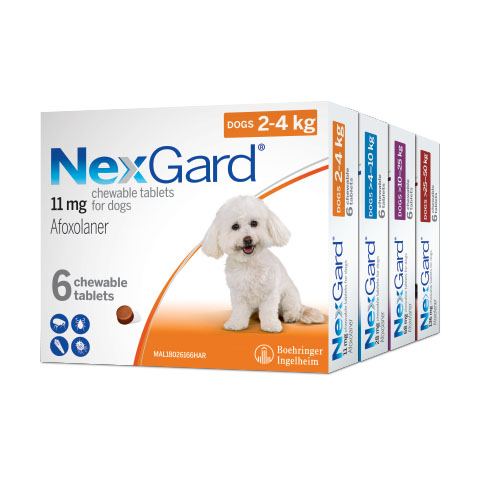 4_02 NexGard Range Profile Pack 480x480px.jpg