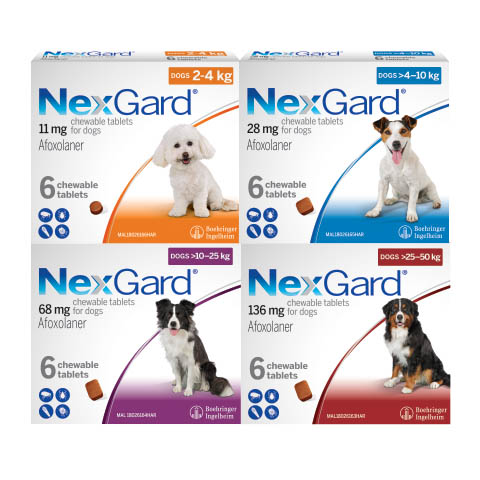 NexGard for Dogs All Sizes