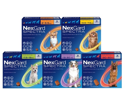 NexGard SPECTRA