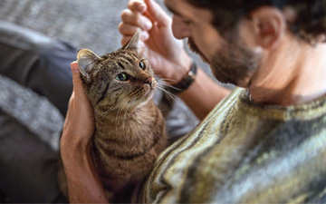 Hero Banner - Mobile