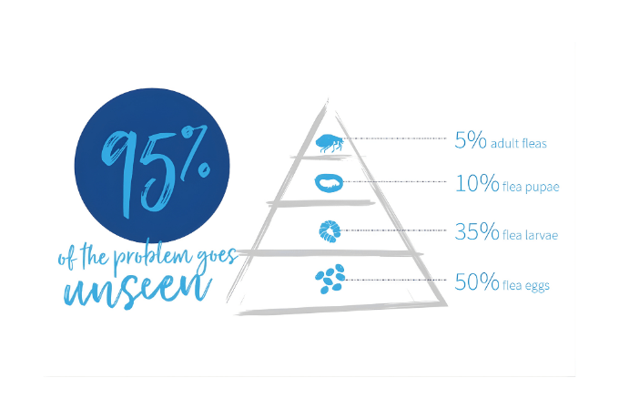 Flea_Tips of Iceberg