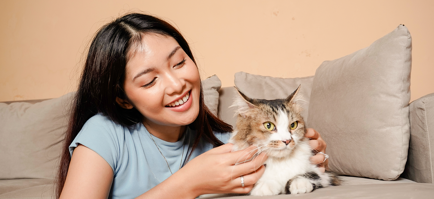 Can parasites infect humans?